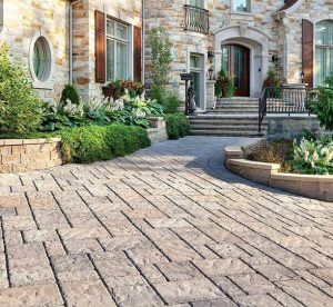 建築、室內設計。成本預算製作。
計劃書撰寫