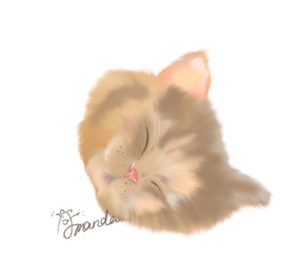 插畫繪製 | 基本美編排版