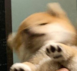 陪你聊天！