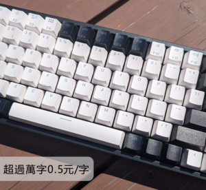 中文逐字稿