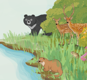 專屬插畫設計方案|讓視覺更有情感與溫度