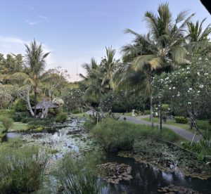 ［樹洞］心情分享/疑難雜症梳理，陪你文字對談1小時