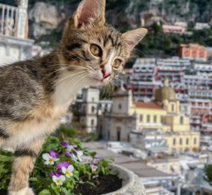義大利短期旅遊與旅居諮詢
