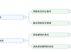 「網路／資安顧問」