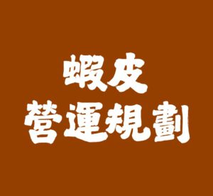 蝦皮經營策略規劃